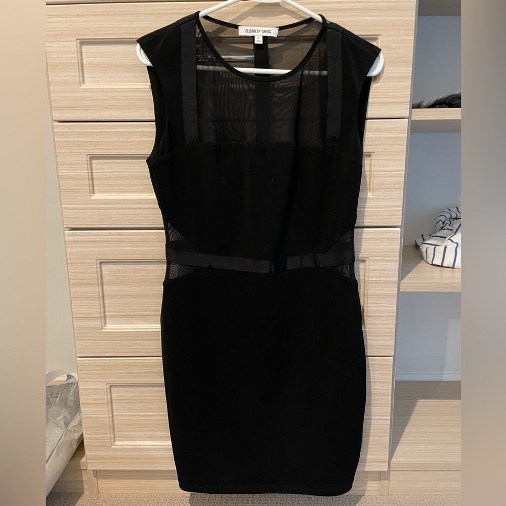 Never worn! Black Cocktail length Elizabeth and James dress - sheer pop outs.